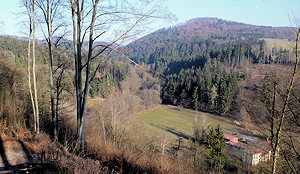 Auslick ins Wildbachtal