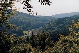 Blick von Stockenfels auf den Regen