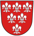 Wappen der Sulzbacher Grafen