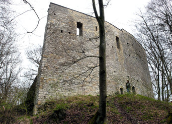 Burgruine Alte Burg bei Neuburg